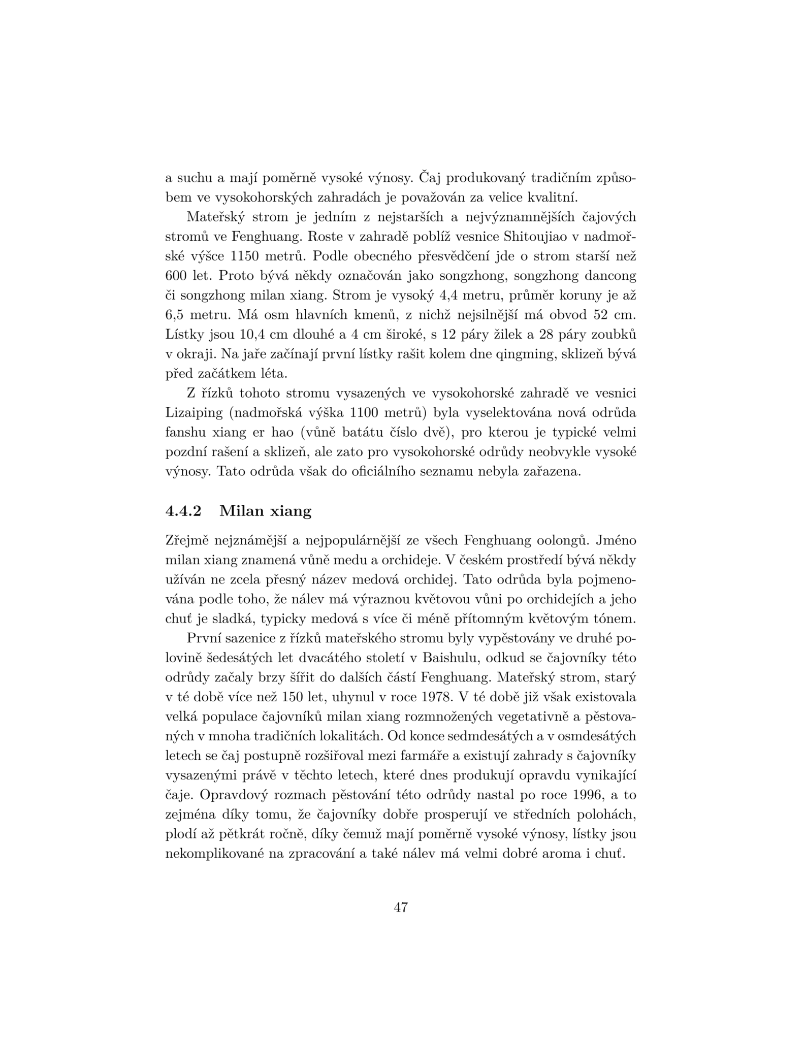 Dancong oolongy - Image 7